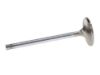 Picture of Manley Engine Exhaust Valve - 12737-1