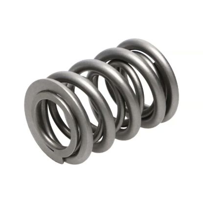 Picture of Manley Engine Valve Spring Kit - 22105-16
