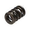 Picture of Manley Engine Valve Spring Kit - 22110-16
