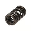 Picture of Manley Engine Valve Spring Kit - 22115-16