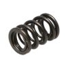 Picture of Manley Engine Valve Spring Kit - 22120-16