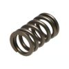 Picture of Manley Engine Valve Spring Kit - 22125-16