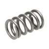 Picture of Manley Engine Valve Spring - 22130-24