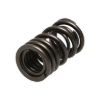 Picture of Manley Engine Valve Spring Kit - 22140-16