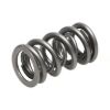 Picture of Manley Engine Valve Spring Kit - 221421-16