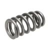 Picture of Manley Engine Valve Spring Kit - 221438-16