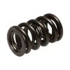 Picture of Manley Engine Valve Spring Kit - 221443-16