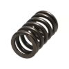 Picture of Manley Engine Valve Spring Kit - 22145-16