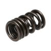 Picture of Manley Engine Valve Spring Kit - 22150-16