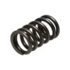 Picture of Manley Engine Valve Spring Kit - 22165-16