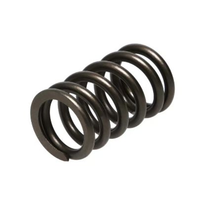 Picture of Manley Engine Valve Spring Kit - 22165-16