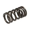 Picture of Manley Engine Valve Spring - 22170-1