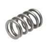 Picture of Manley Engine Valve Spring - 22180-1