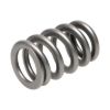 Picture of Manley Engine Valve Spring Kit - 22185-16