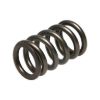 Picture of Manley Engine Valve Spring Kit - 22190-16