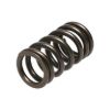 Picture of Manley Engine Valve Spring Kit - 22195-16