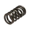 Picture of Manley Engine Valve Spring Kit - 22205-32