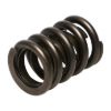 Picture of Manley Engine Valve Spring Kit - 22406-16