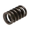 Picture of Manley Engine Valve Spring Kit - 22409-16