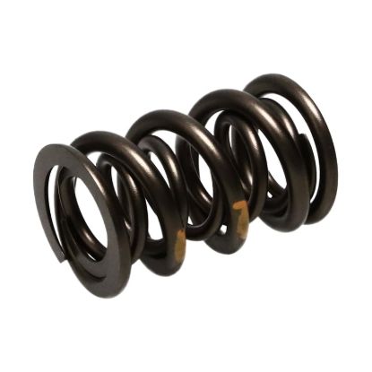Picture of Manley Engine Valve Spring Kit - 261454