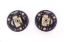 Picture of MTS Technik Alignment Camber Caster Plate - MTSCP25SET