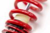 Picture of MTS Technik Coilover Set - MTSGWAU02