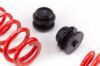 Picture of MTS Technik Coilover Set - MTSGWAU02