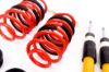 Picture of MTS Technik Coilover Set - MTSGWAU20
