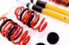 Picture of MTS Technik Coilover Set - MTSGWAU24