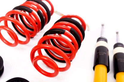 Picture of MTS Technik Coilover Set - MTSGWAU24