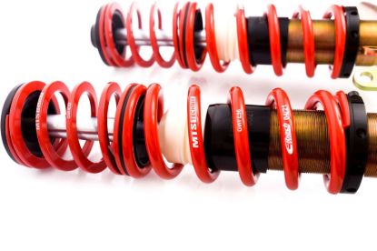 Picture of MTS Technik Coilover Set - MTSGWAU30