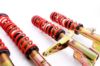 Picture of MTS Technik Coilover Set - MTSGWAU30-S