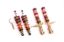 Picture of MTS Technik Coilover Set - MTSGWAU36