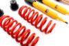 Picture of MTS Technik Coilover Set - MTSGWBM13