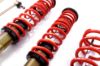 Picture of MTS Technik Coilover Set - MTSGWBM21-S