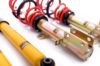 Picture of MTS Technik Coilover Set - MTSGWFI01