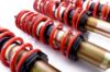 Picture of MTS Technik Coilover Set - MTSGWMA02