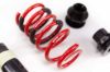 Picture of MTS Technik Coilover Set - MTSGWMA04