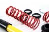Picture of MTS Technik Coilover Set - MTSGWNI02-S