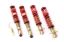 Picture of MTS Technik Coilover Set - MTSGWVW06-S