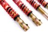 Picture of MTS Technik Coilover Set - MTSGWVW08