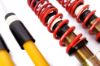 Picture of MTS Technik Coilover Set - MTSGWVW10-S