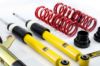 Picture of MTS Technik Coilover Set - MTSGWVW100