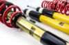 Picture of MTS Technik Coilover Set - MTSGWVW103