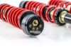 Picture of MTS Technik Coilover Set - MTSGWVW112-C