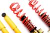 Picture of MTS Technik Coilover Set - MTSGWVW35