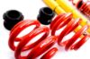 Picture of MTS Technik Coilover Set - MTSGWVW35