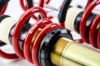 Picture of MTS Technik Coilover Set - MTSGWVW36