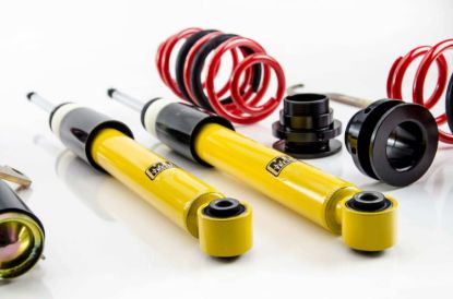 Picture of MTS Technik Coilover Set - MTSGWVW36