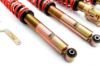 Picture of MTS Technik Coilover Set - MTSGWVW54-C